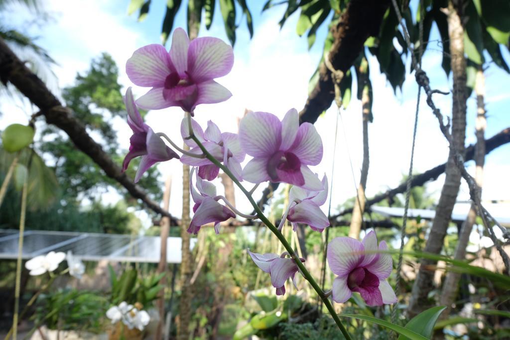 מלון Ko Phra Thong Mr. Chuoi Bar And Hut מראה חיצוני תמונה